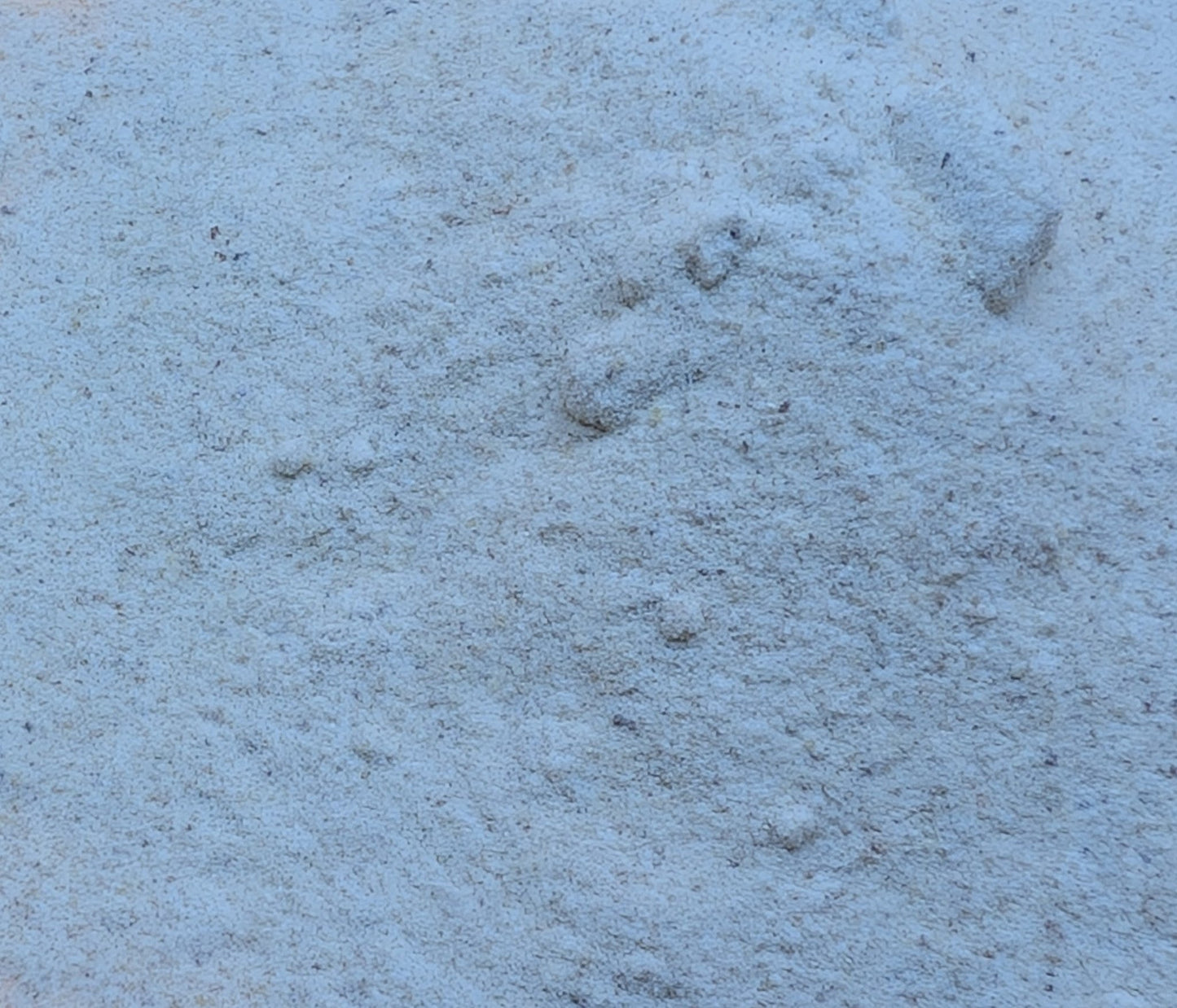 Poudre précieuse Oliban Nature 100% pure