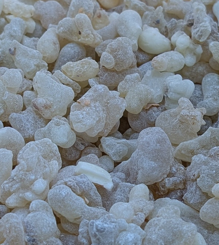 Boswellia sacra anti-inflammatoire