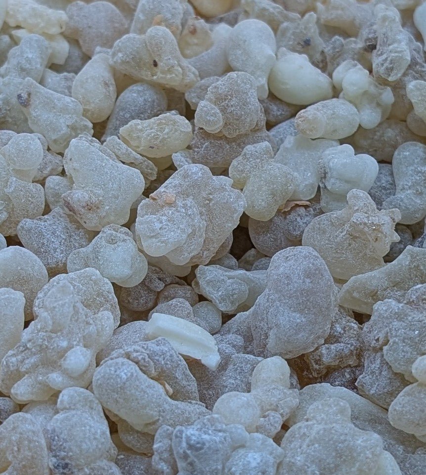 Résine pure de Boswellia Sacra Oman Trésor du Sultan meilleure encens au monde Oliban Nature